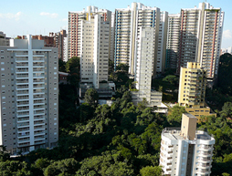 Lavanderia de tapete, carpete, sofá, divisórias e estofados em geral no Morumbi